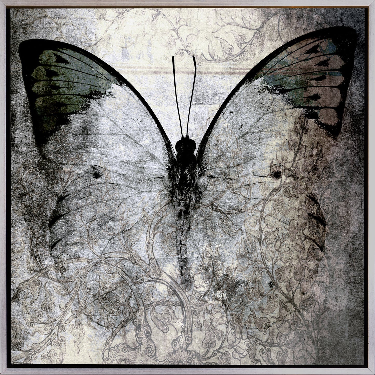Unique Treasure Canvas Wanddecoratie Papilio 50×50 cm met Schaduwvoeglijst