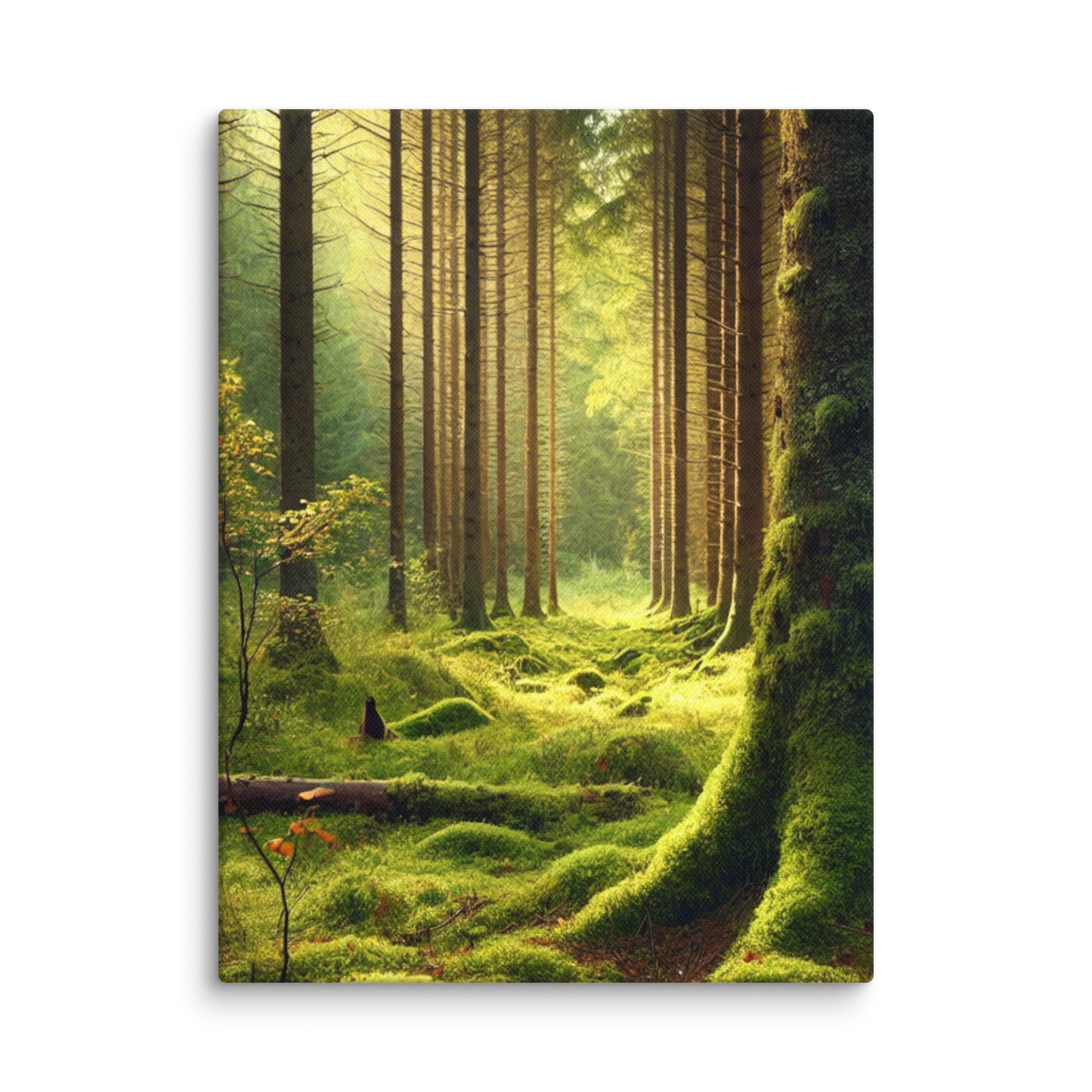 Adembenemende Boslandschap Canvas – Mystiek Groen in de Natuur
