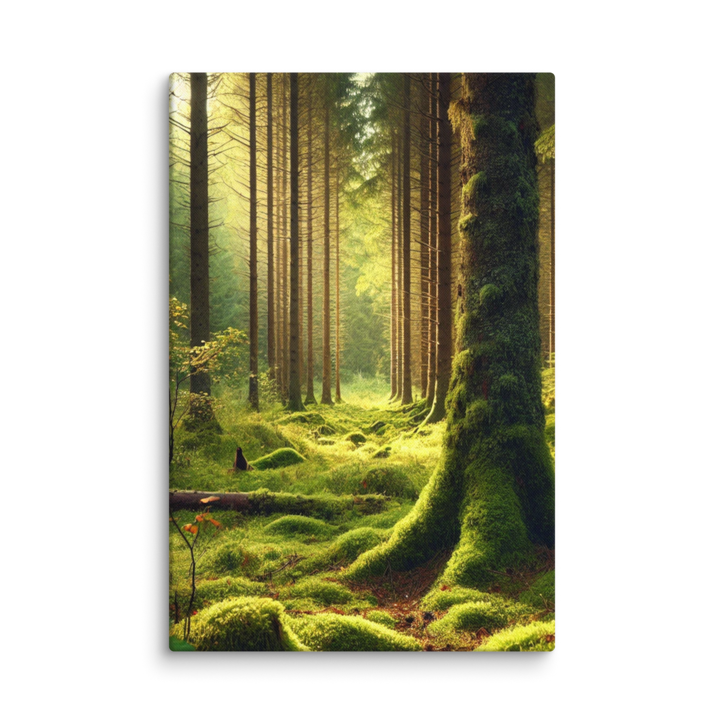 Adembenemende Boslandschap Canvas – Mystiek Groen in de Natuur