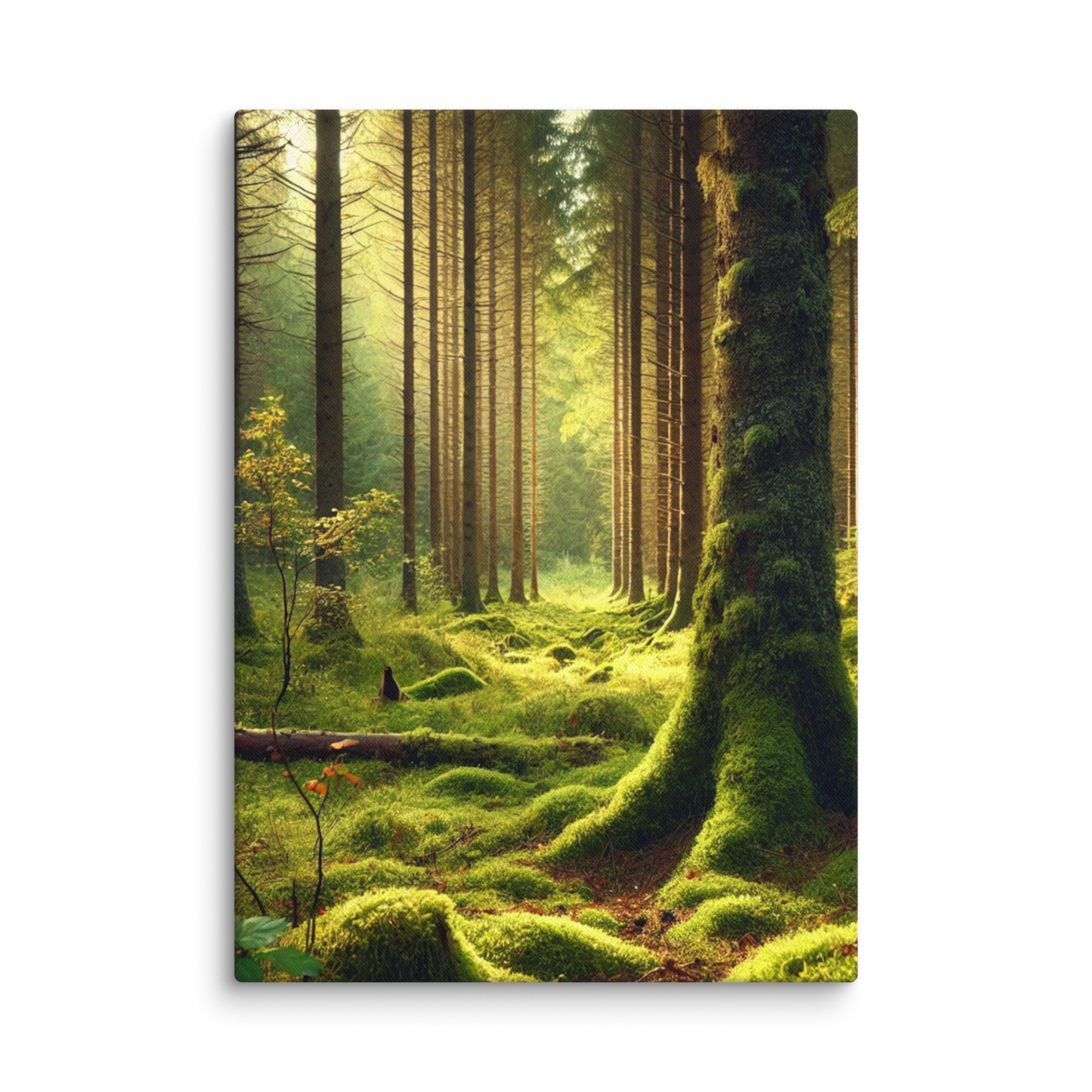 Adembenemende Boslandschap Canvas – Mystiek Groen in de Natuur
