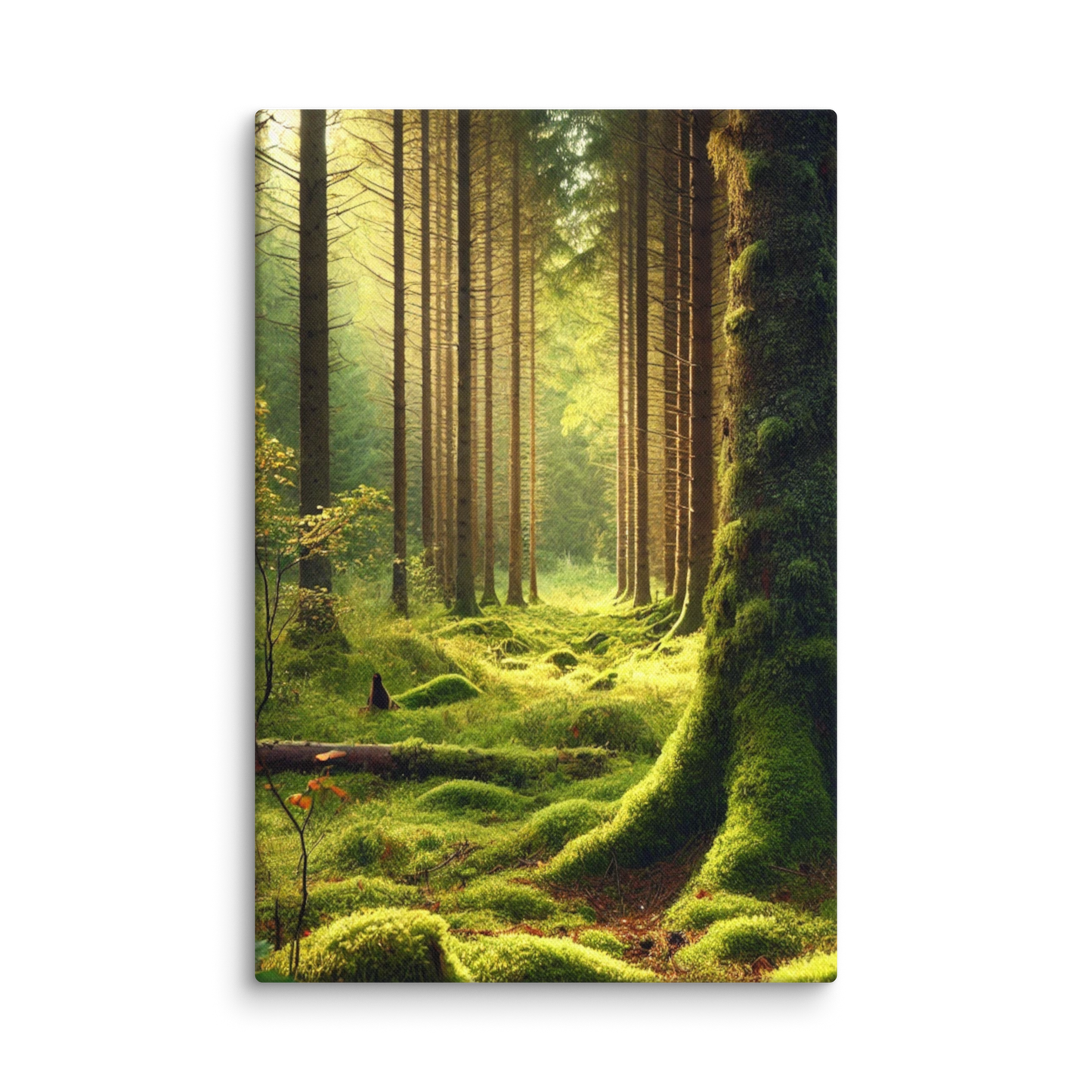 Adembenemende Boslandschap Canvas – Mystiek Groen in de Natuur