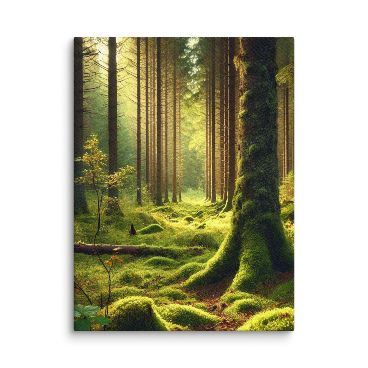 Adembenemende Boslandschap Canvas – Mystiek Groen in de Natuur