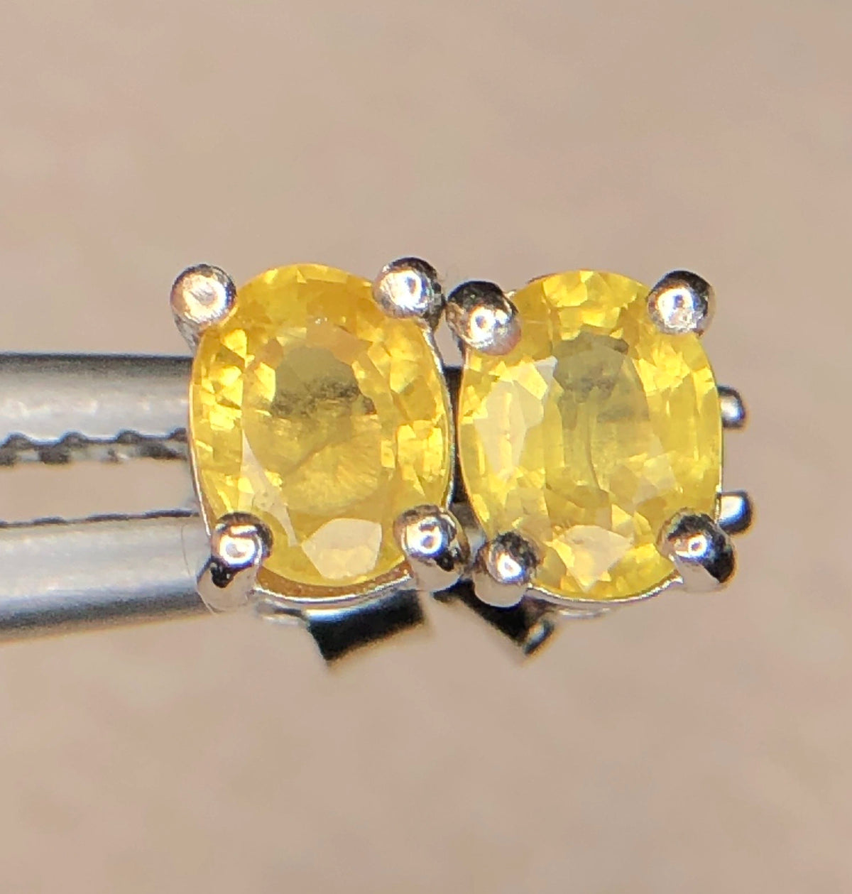 Natuurlijke Gele Saffier Oorstekers 4,05 ct – 925 Sterling Zilver Rhodium Plated