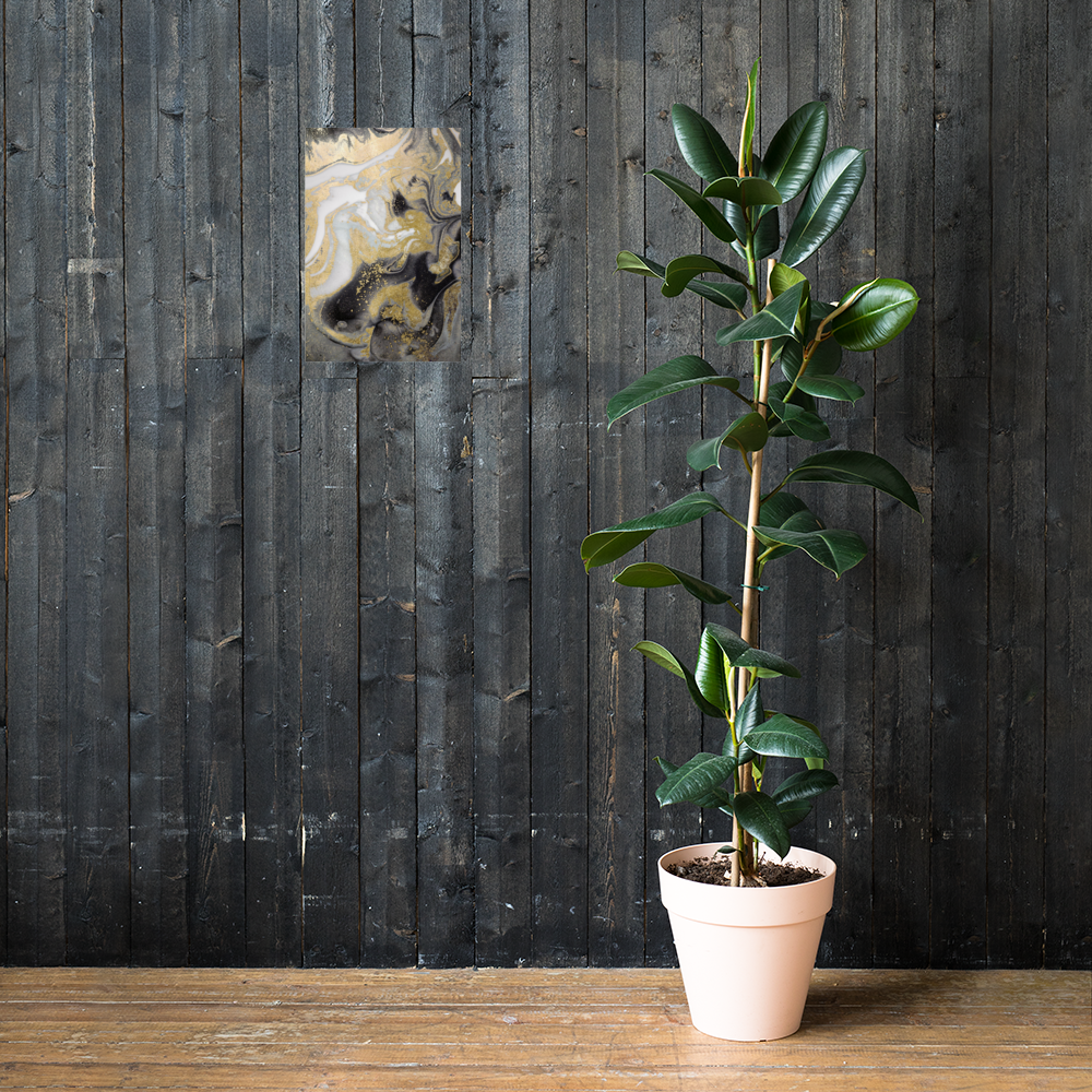 Acrylglas Kunstwerk met Bladgoud – Retro Linus-Maximilian Stijl | Handgemaakt Statement Piece