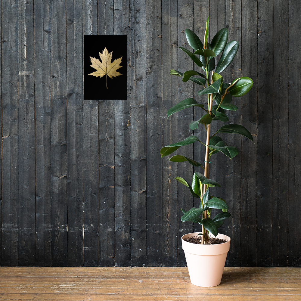Gouden Esdoornblad Kunstwerk op Acrylglas – Exclusieve Natuurdecoratie met Bladgoud