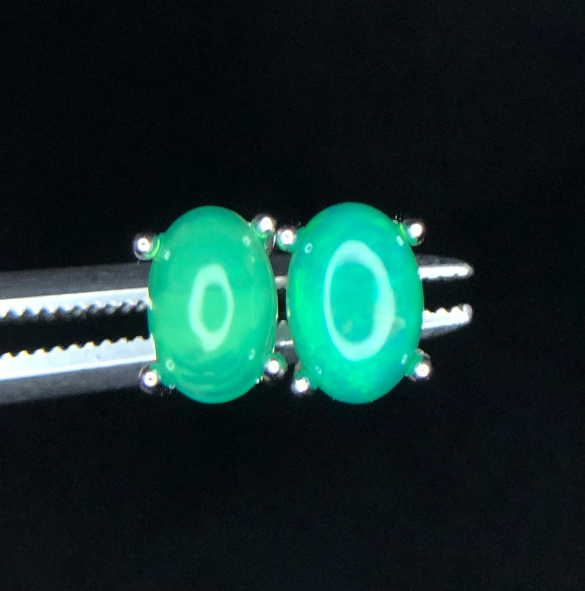 Natuurlijke Groene Opaal Oorbellen 5,00 ct – 925 Sterling Zilver Rhodium Plated