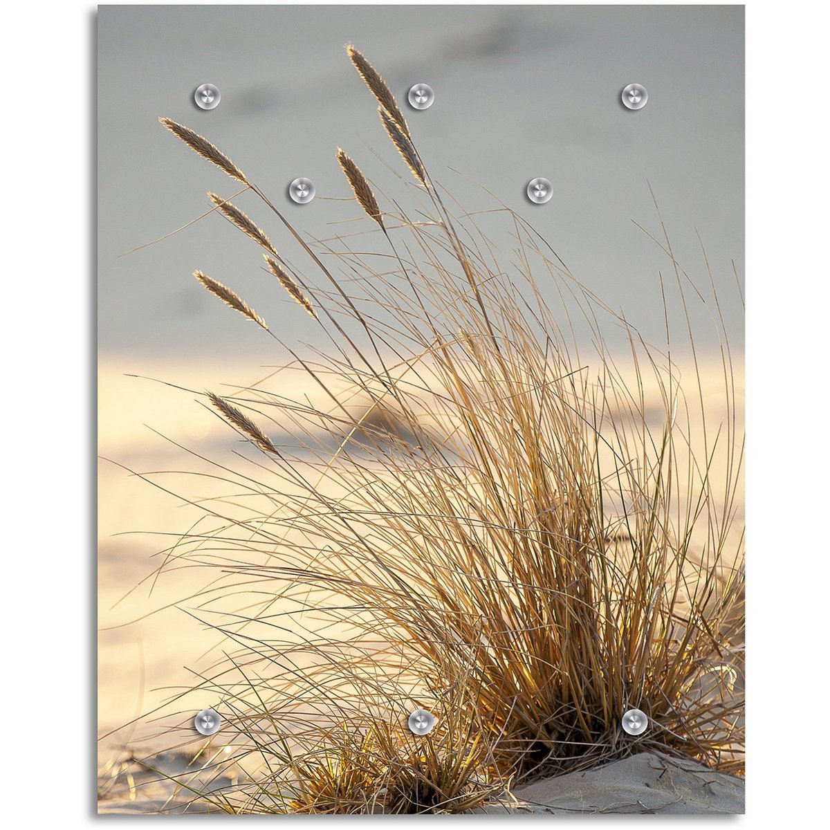 Design Wandkapstok “Bent Grass” – Acrylglas Kapstok met Duingras-print & Aluminium Frame, Inclusief Haken en Schroeven