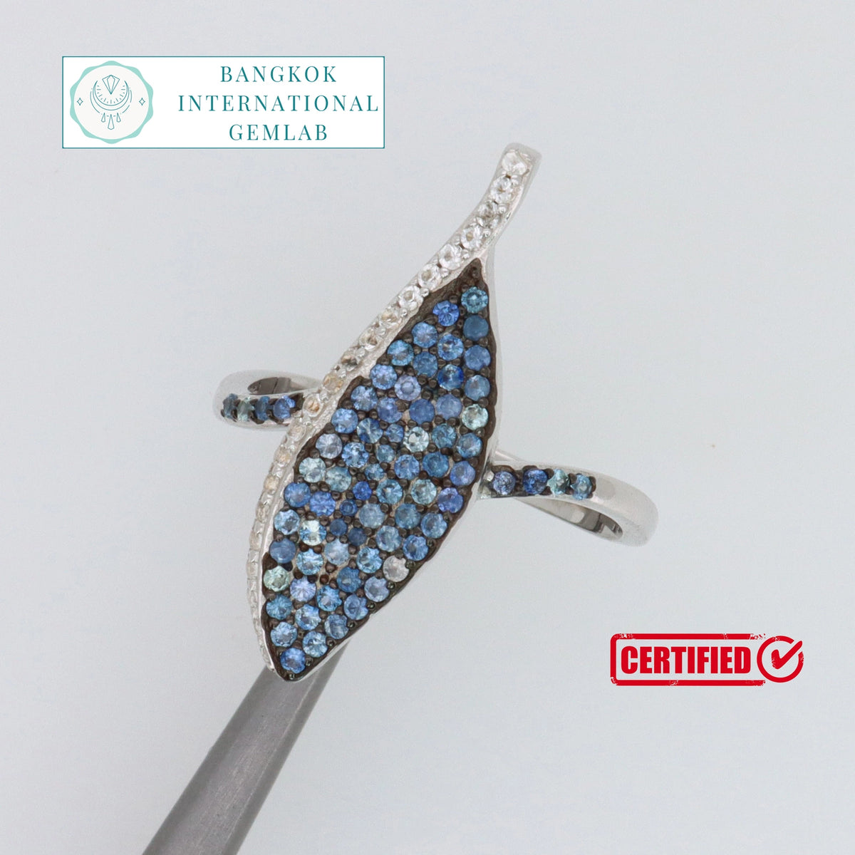 Gecertificeerde saffierring – 925 sterling zilver