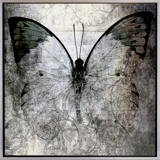 Unique Treasure Canvas Wanddecoratie Papilio 50×50 cm met Schaduwvoeglijst