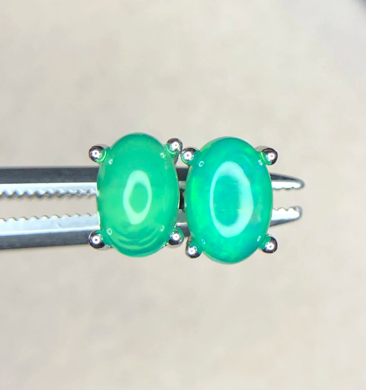 Natuurlijke Groene Opaal Oorbellen 5,00 ct – 925 Sterling Zilver Rhodium Plated