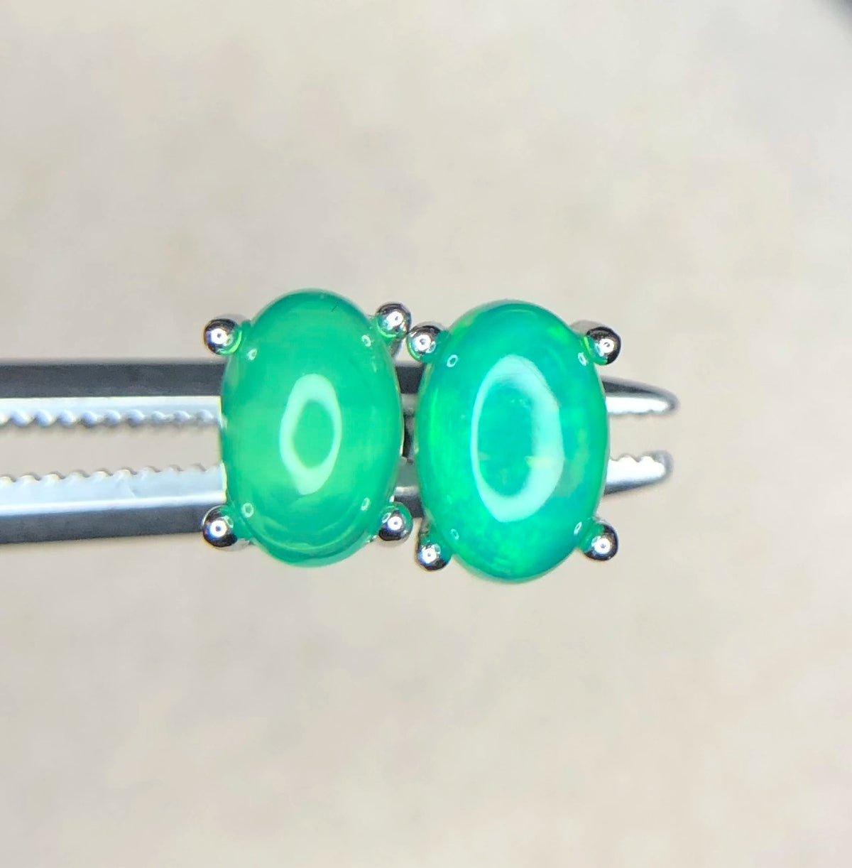 Natuurlijke Groene Opaal Oorbellen 5,00 ct – 925 Sterling Zilver Rhodium Plated