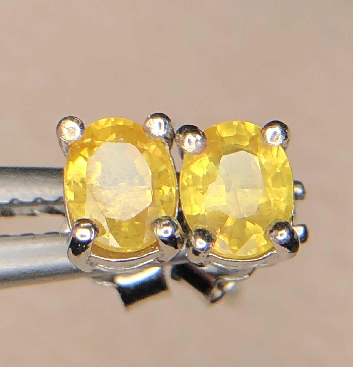 Natuurlijke Gele Saffier Oorstekers 4,05 ct – 925 Sterling Zilver Rhodium Plated